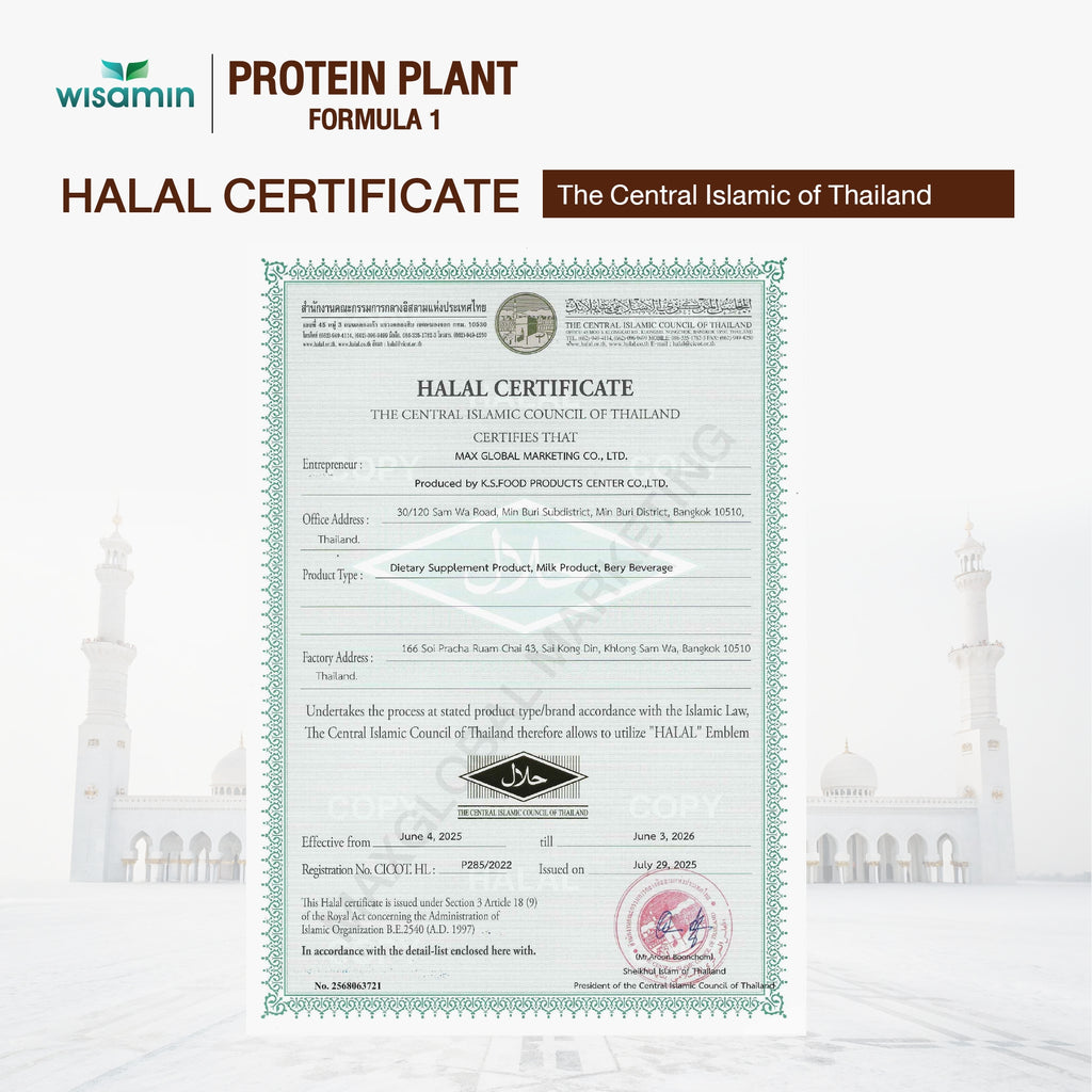 WISAMIN Plant Protein Formula 1 | High protein 27-30g | 10 Flavors | 250g | Organic | Halal | Soy-Free | Non-GMO | No Added Sugar