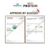 Organic Rice Protein | 100g