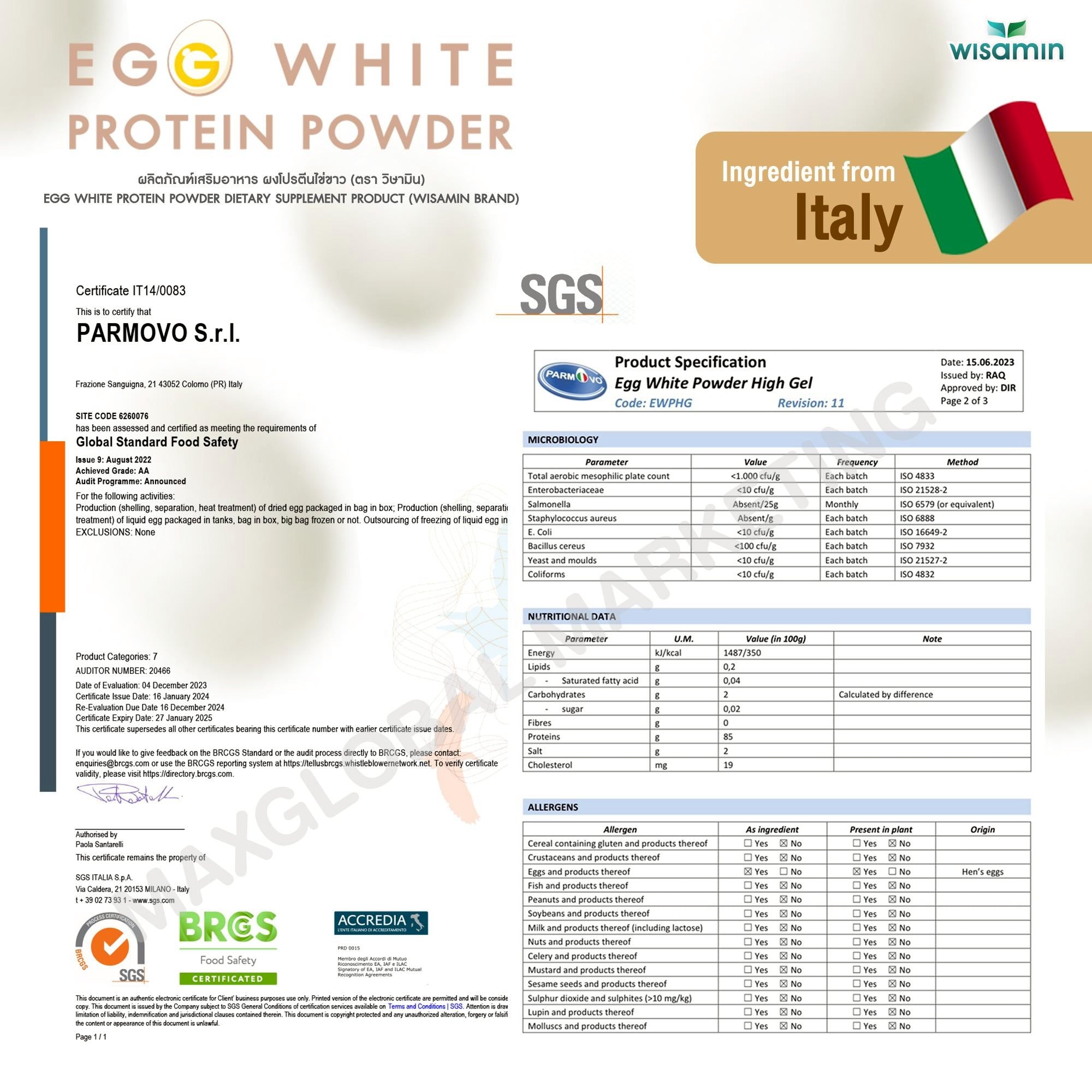 WISAMIN Egg White Protein Powder | 1 Bottle (300g) | Halal Certified | Lactose-Free | Gluten-Free | Soy-Free