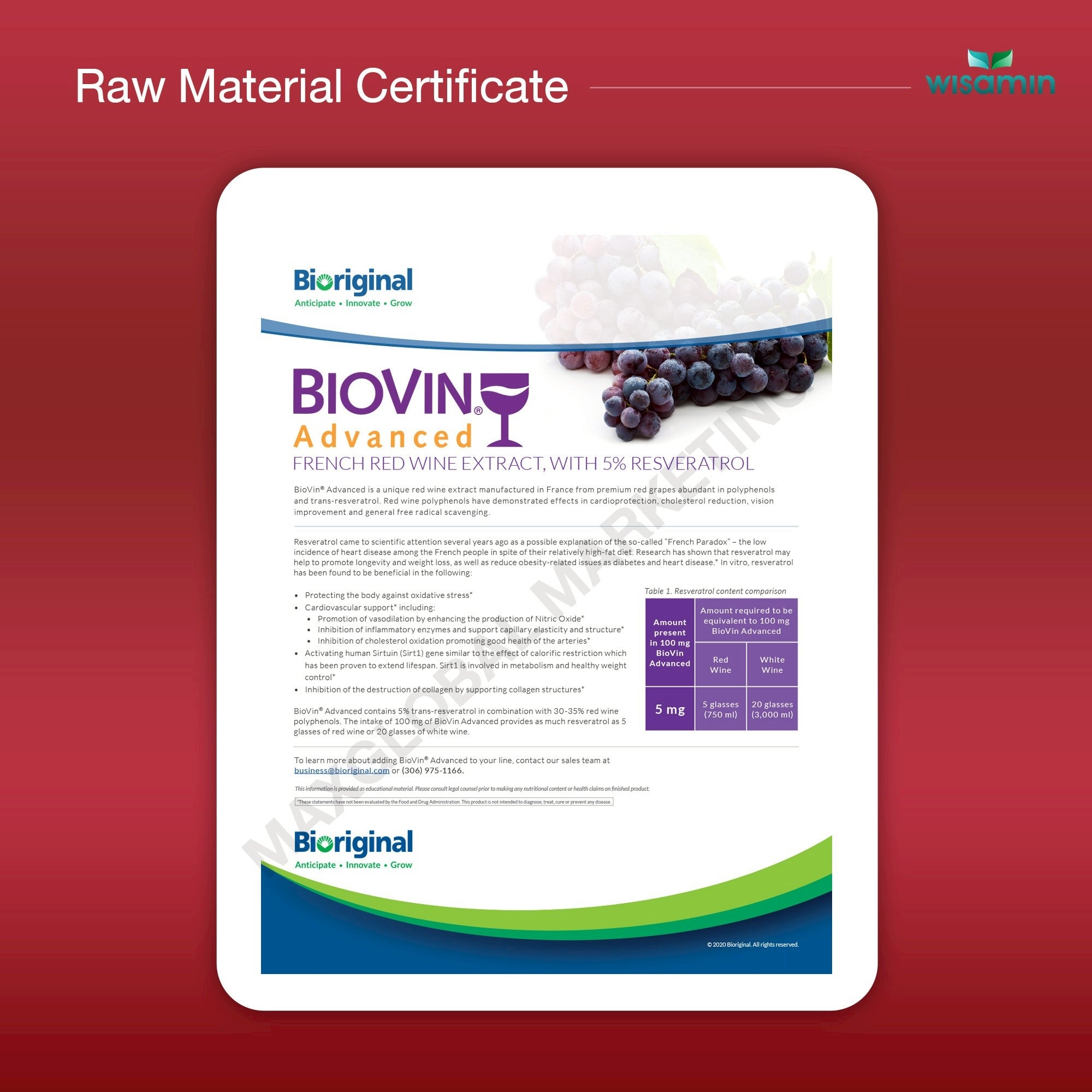 WISAMIN Resveratrol from Grape Skin Extract Capsule | Halal Certified | 1 Bottle 30 Capsules