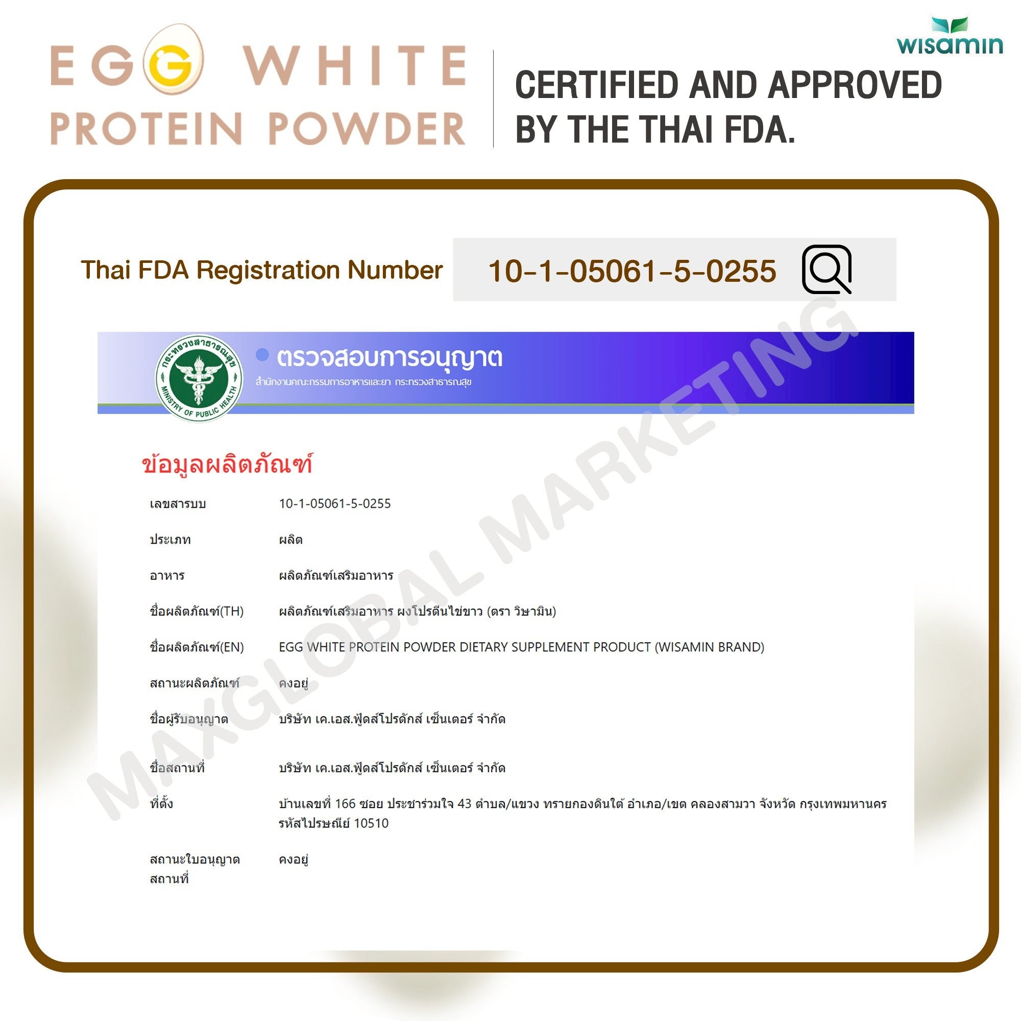 WISAMIN Egg White Protein Powder | 1 Bottle (300g) | Halal Certified | Lactose-Free | Gluten-Free | Soy-Free