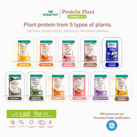 WISAMIN Formula Protein Tumbuhan 3 | Protein tinggi 25-28g | Dengan Peptida Kolagen & L-Glutathione | 250g | 11 Perisa | Disahkan Halal | Organik