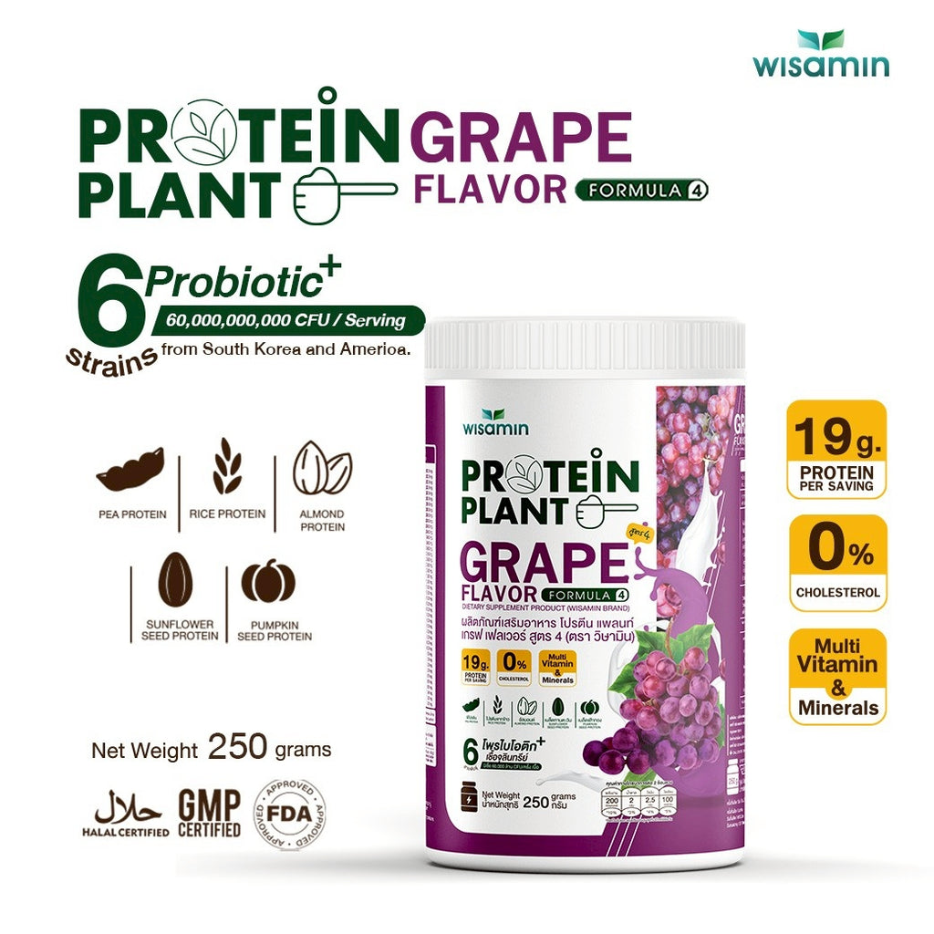 WISAMIN Plant Protein Formula 4 | High protein 18-22g | 250g | 14 Flavors | Halal Certified | Organic | Probiotics & Vitamin-Mineral Blend