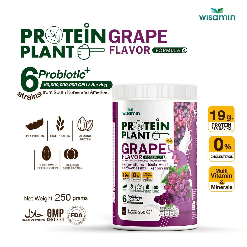 WISAMIN Plant Protein Formula 4 | High protein 18-22g | 250g | 14 Flavors | Halal Certified | Organic | Probiotics & Vitamin-Mineral Blend