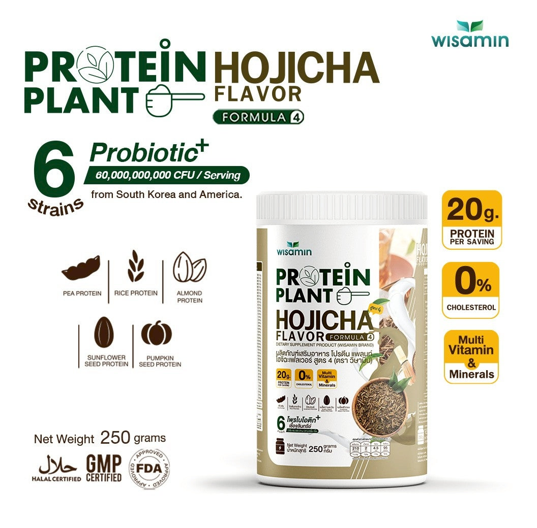 WISAMIN Plant Protein Formula 4 | High protein 18-22g | 250g | 14 Flavors | Halal Certified | Organic | Probiotics & Vitamin-Mineral Blend