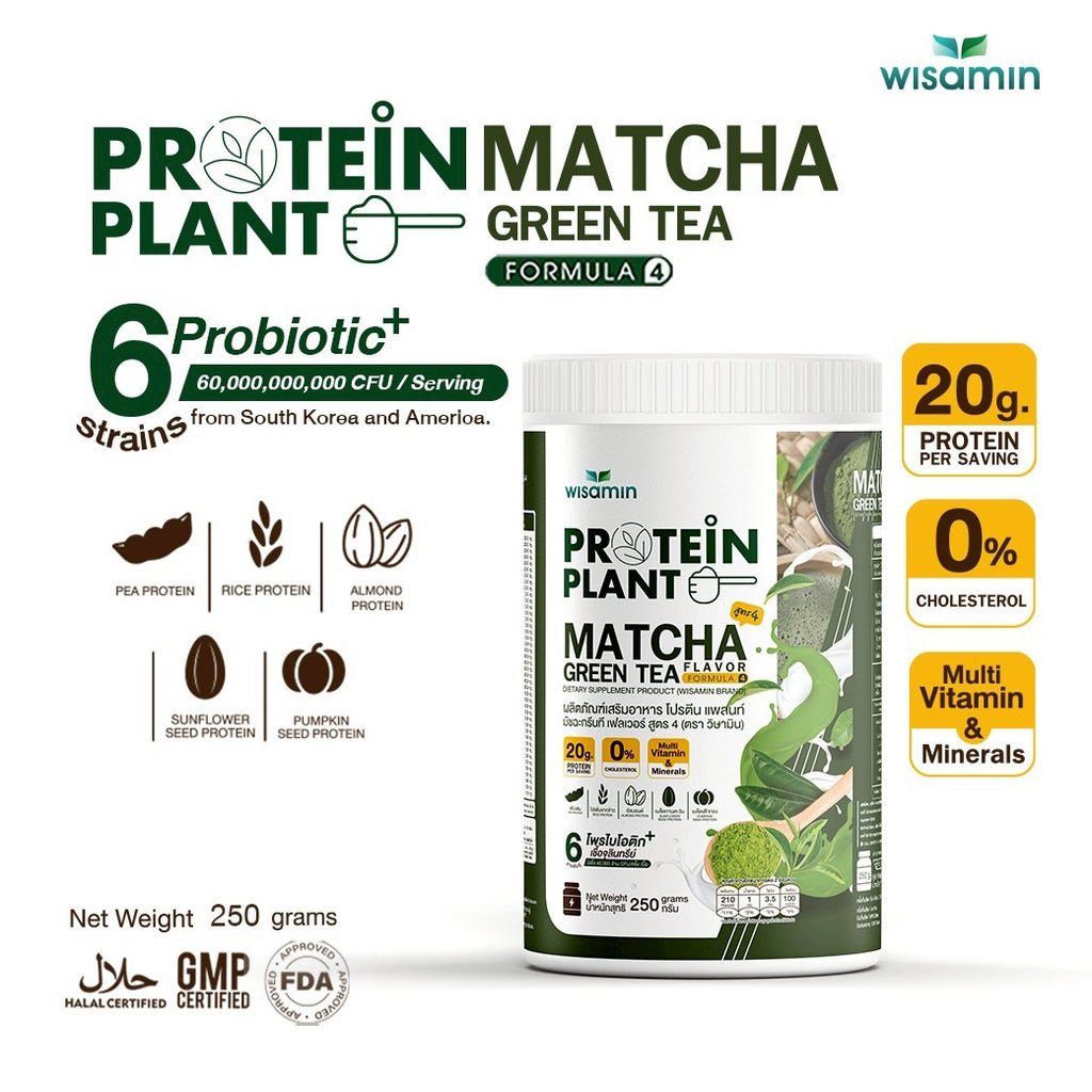 WISAMIN Plant Protein Formula 4 | High protein 18-22g | 250g | 14 Flavors | Halal Certified | Organic | Probiotics & Vitamin-Mineral Blend