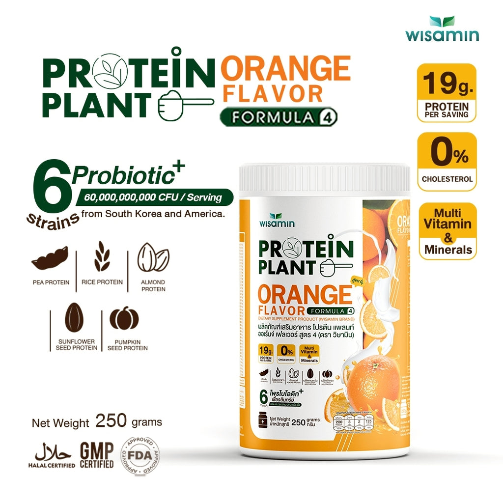 WISAMIN Plant Protein Formula 4 | High protein 18-22g | 250g | 14 Flavors | Halal Certified | Organic | Probiotics & Vitamin-Mineral Blend