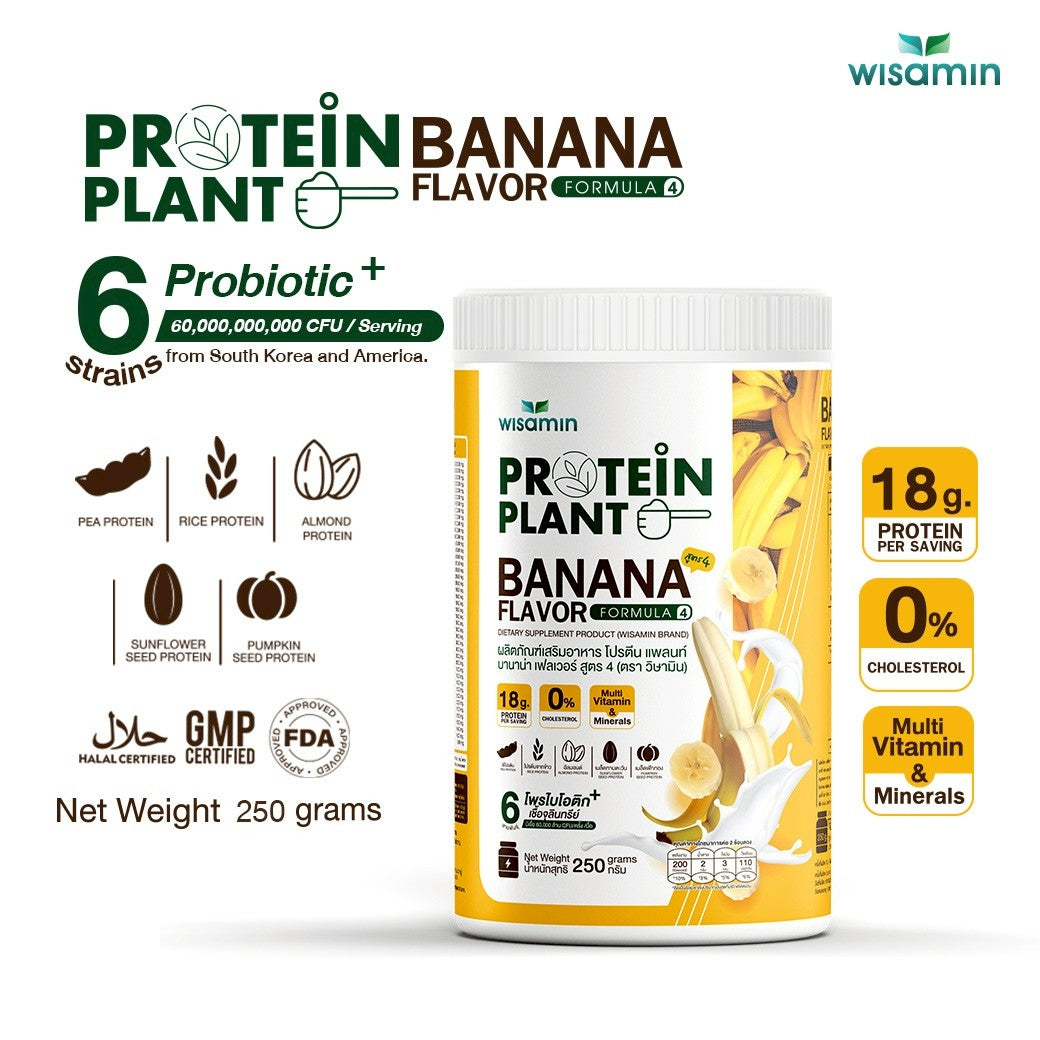 WISAMIN Plant Protein Formula 4 | High protein 18-22g | 250g | 14 Flavors | Halal Certified | Organic | Probiotics & Vitamin-Mineral Blend