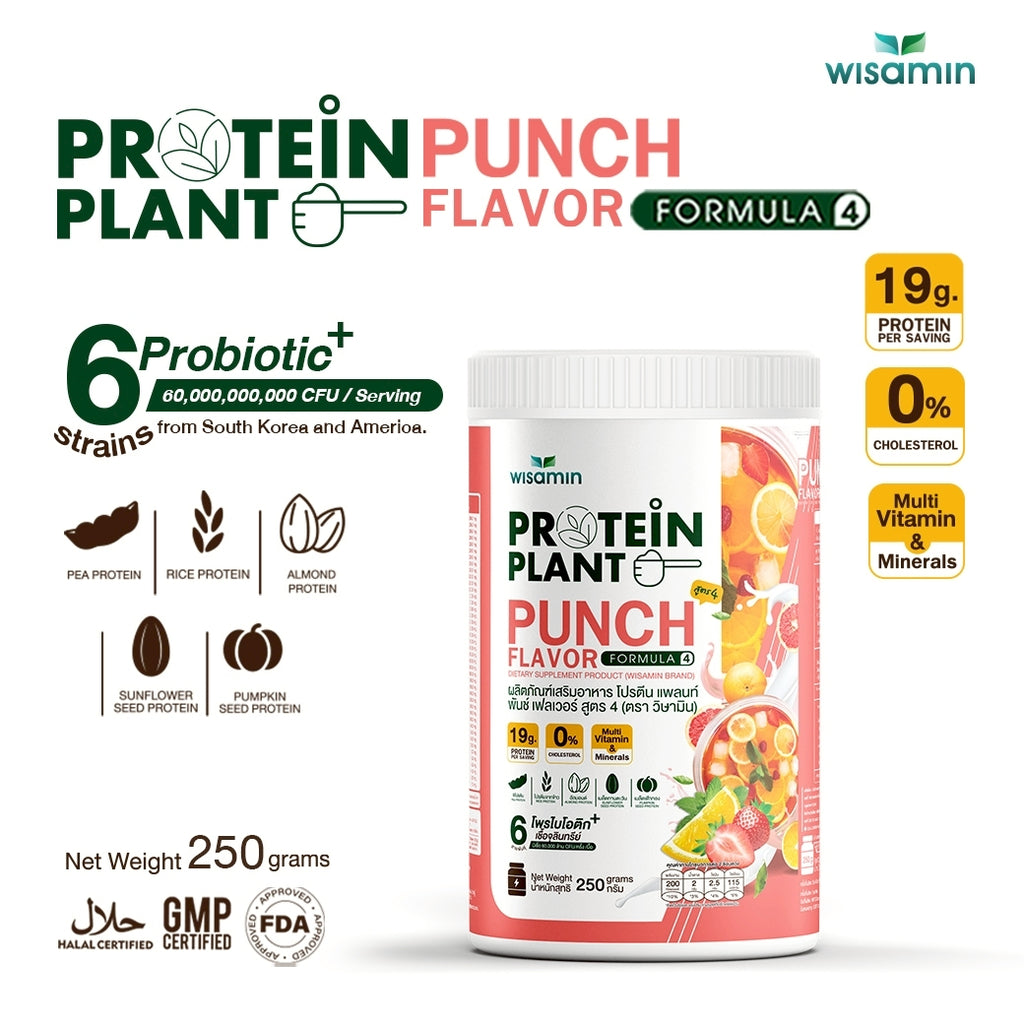 WISAMIN Plant Protein Formula 4 | High protein 18-22g | 250g | 14 Flavors | Halal Certified | Organic | Probiotics & Vitamin-Mineral Blend