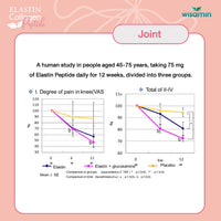 Elastin Collagen Peptide | 1 Box 15 Sachets
