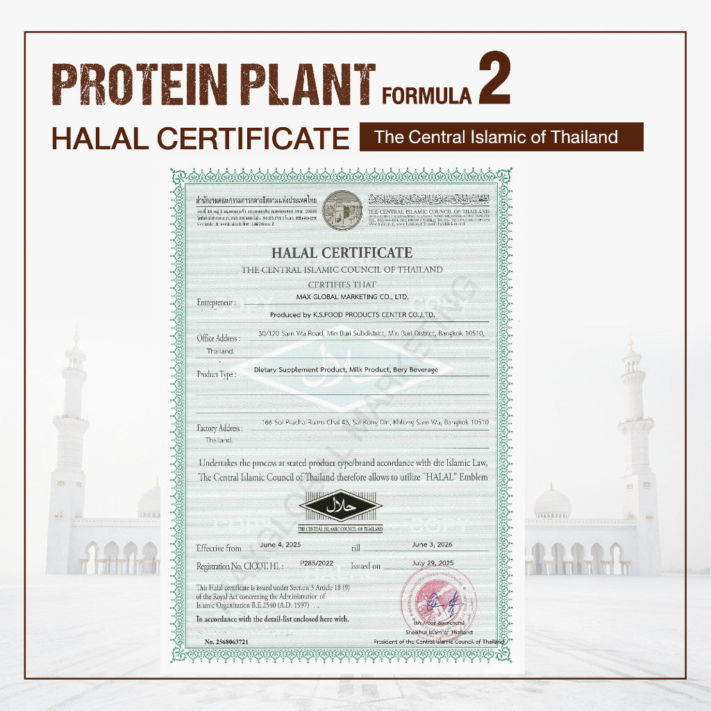 WISAMIN Plant Protein Formula 2 | 2.27 kg (5LB) | 8 Flavors | Organic | Halal | Soy-Free | Non-GMO