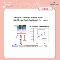 Elastin Collagen Peptide | 1 Box 15 Sachets