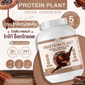 WISAMIN Plant Protein Formula 1 | 2.27 kg (5LB) | 10 Flavors | Organic | Halal | Soy-Free | Non-GMO