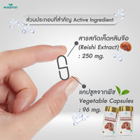 Reishi Mushroom Extract 250mg | 30 Capsules