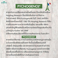 Pycnogenol X Nutra-C 590mg Capsules | 30 Capsules