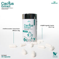 Cactus Extract 500 mg | 30 Capsules