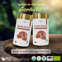 Reishi Mushroom Extract 250mg | 30 Capsules