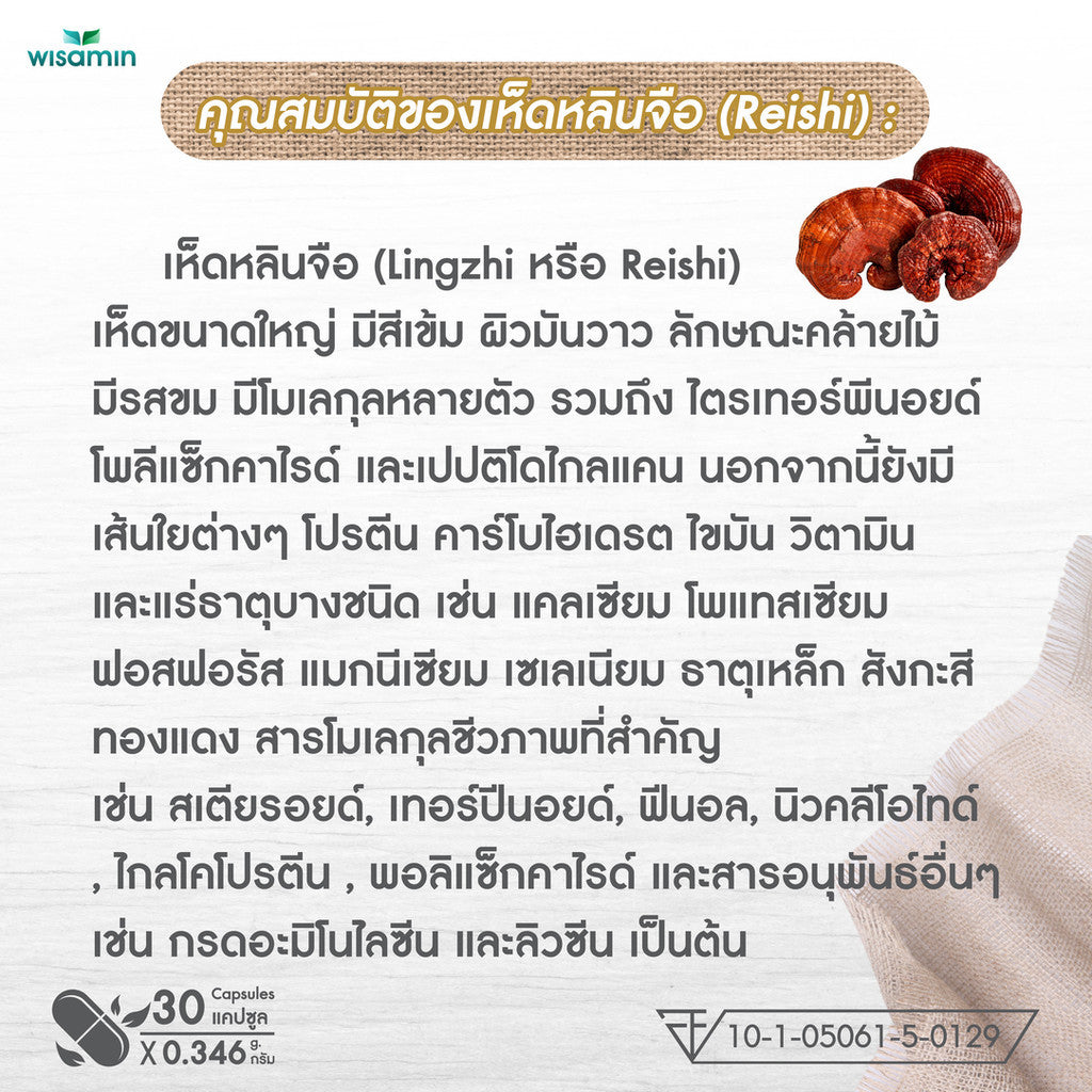WISAMIN Reishi Mushroom Extract 250mg | Lingzhi Capsule | USDA Organic | Non-GMO | Halal | 30 Capsules