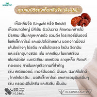 Reishi Mushroom Extract 250mg | 30 Capsules
