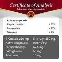 Reishi Mushroom Extract 250mg | 30 Capsules