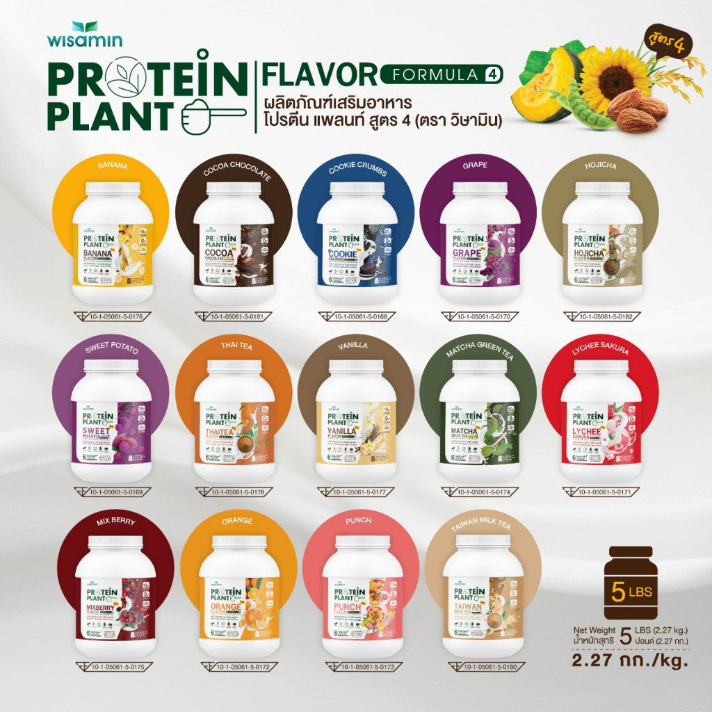 WISAMIN Plant Protein Formula 4 | Available in 14 Flavors | 2.27 kg (5LB) | 45 Servings | Halal | Organic | Probiotics & Minerals