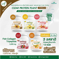 Clear Plant Protein Formula 5 | 1.575 kg | Available in 5 Flavours