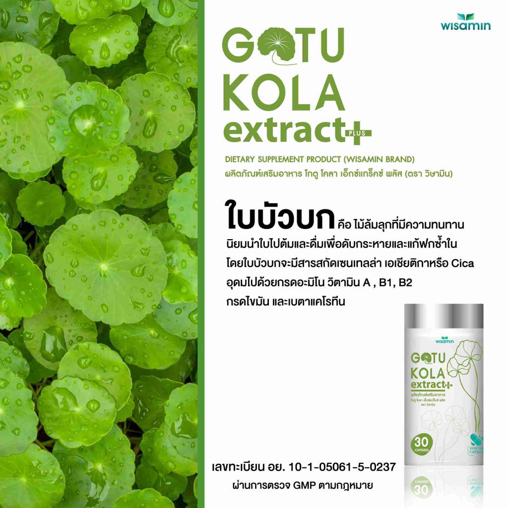 WISAMIN Gotu Kola Extract Plus | Herbal Formula | 945mg per Capsule | Halal | 30 Capsules