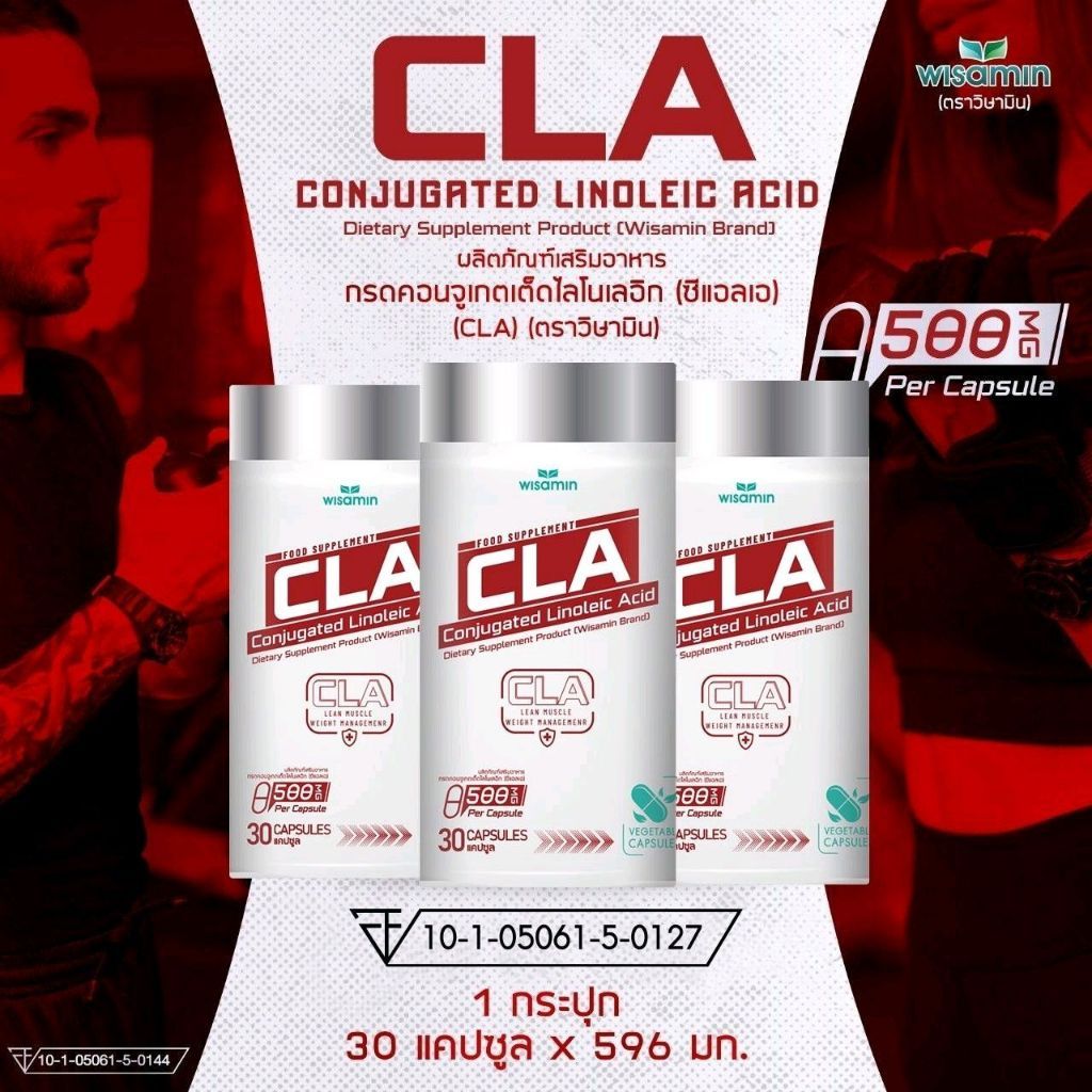 WISAMIN Conjugated Linoleic Acid (CLA) 500 mg per Capsule | Halal Certified | 1 Bottle 30 Capsules