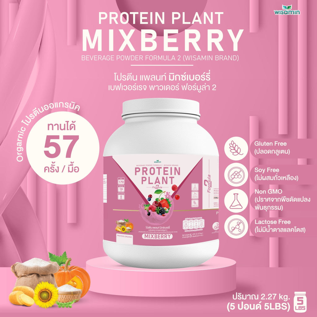 WISAMIN Plant Protein Formula 2 | 2.27 kg (5LB) | 8 Flavors | Organic | Halal | Soy-Free | Non-GMO