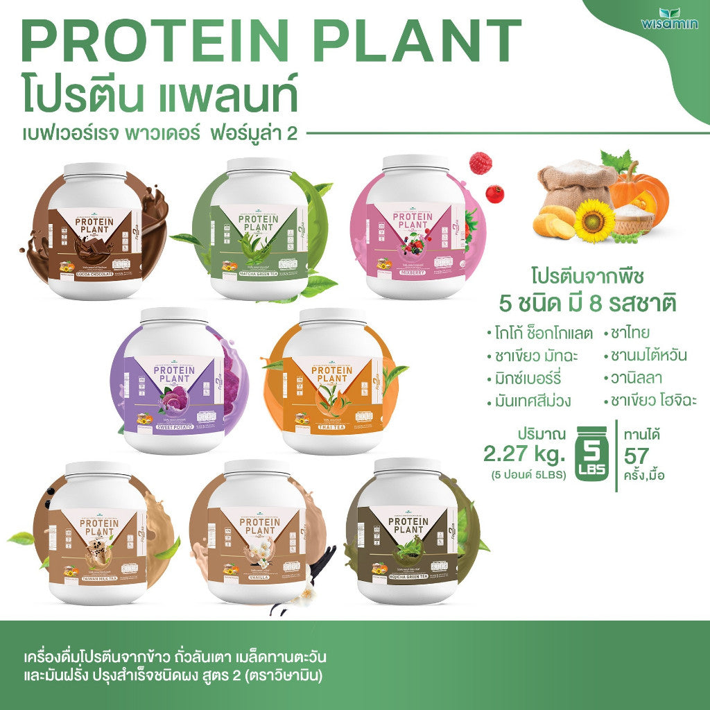 WISAMIN Plant Protein Formula 2 | 2.27 kg (5LB) | 8 Flavors | Organic | Halal | Soy-Free | Non-GMO