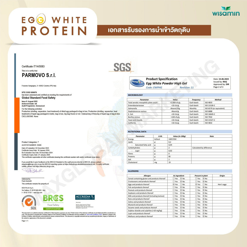 WISAMIN Egg White Protein Powder | Refill Pack 900 g | 3 Flavors Available | Halal Certified | Gluten-Free | Soy-Free | Dairy-Free