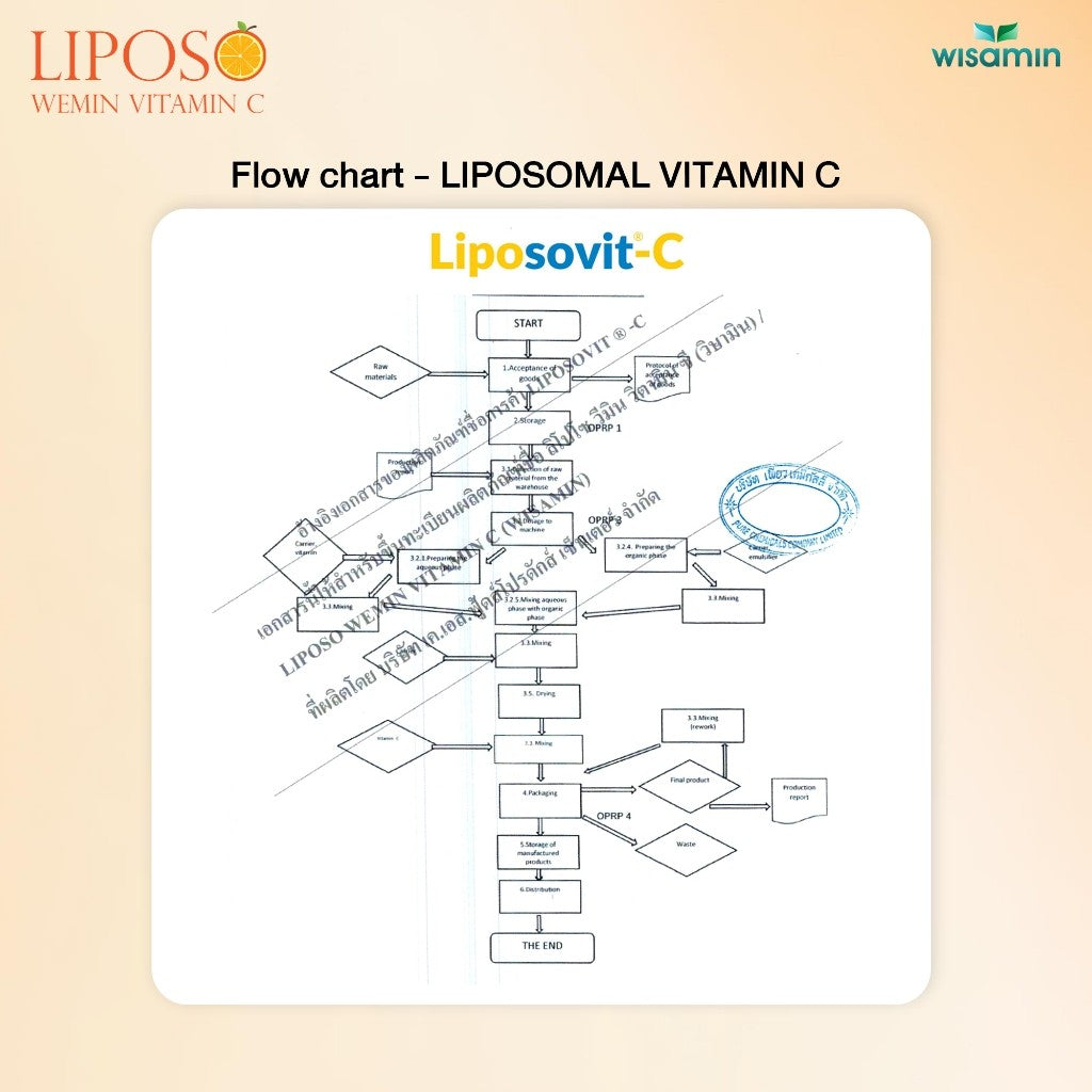 WISAMIN LIPOSO WEMIN Vitamin C | Liposomal 1,000 mg per Sachet | 1 Bag 15 Sachets